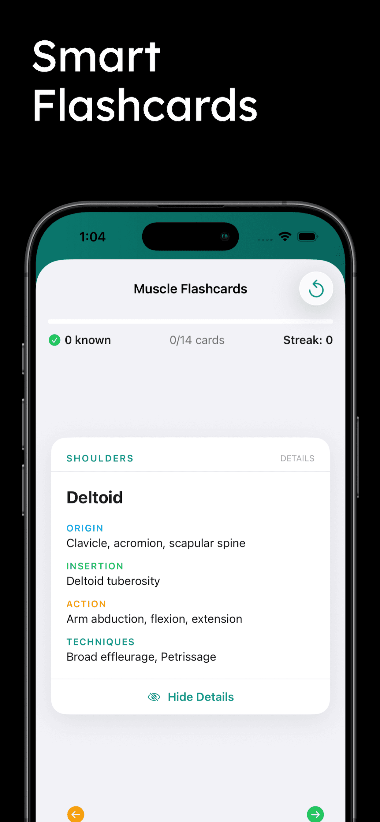 Massage Therapy Prep screenshot 2