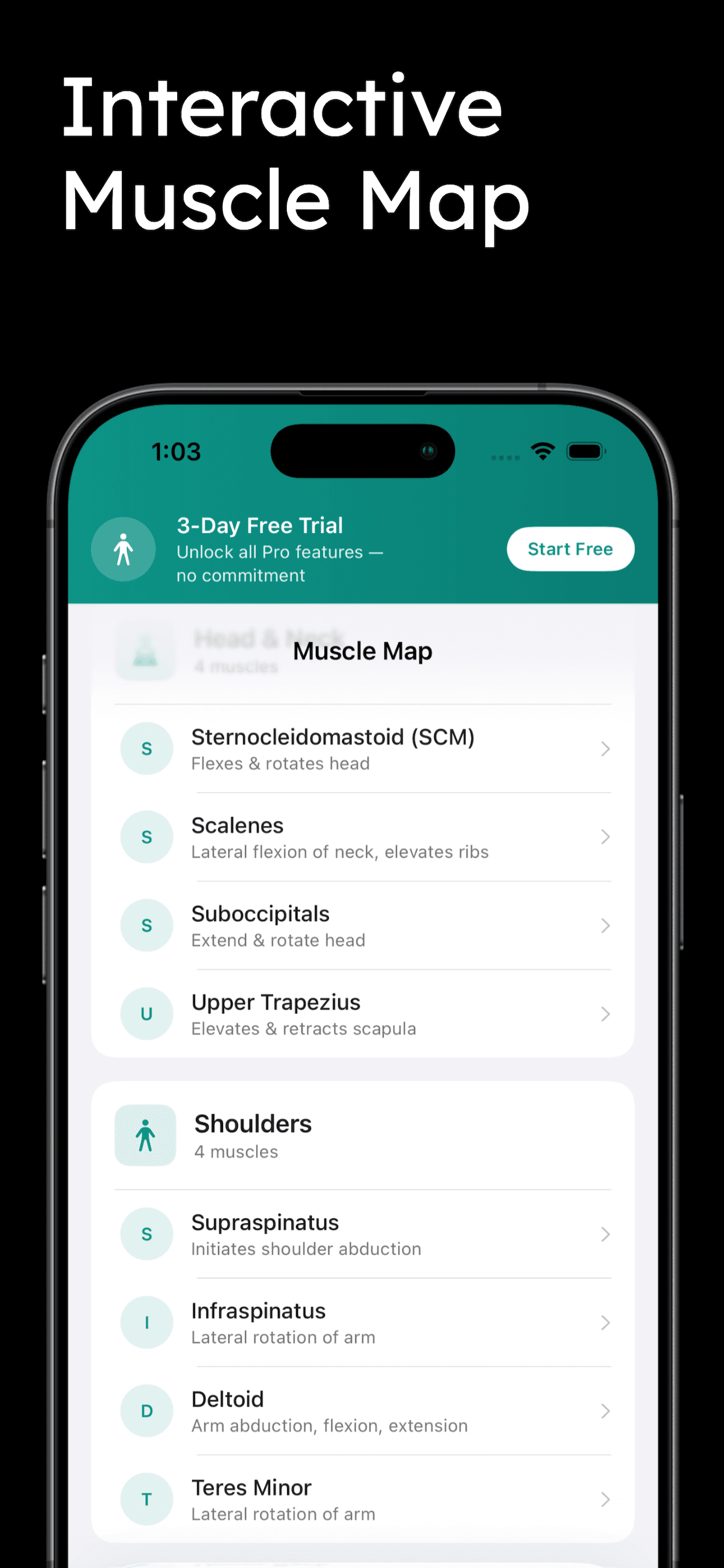 Massage Therapy Prep screenshot 6